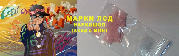 крисы Баксан