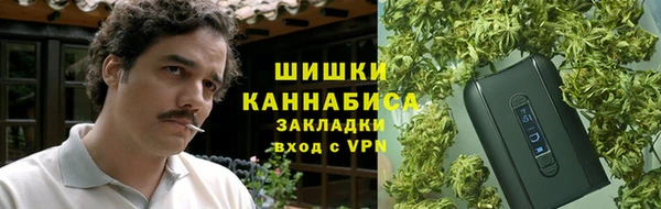 крисы Баксан