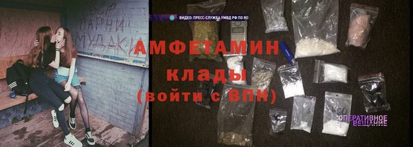 крисы Баксан
