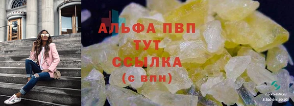 крисы Баксан