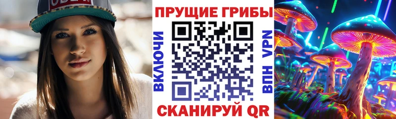 Купить  Кремёнки  Псилоцибиновые грибы GOLDEN TEACHER 